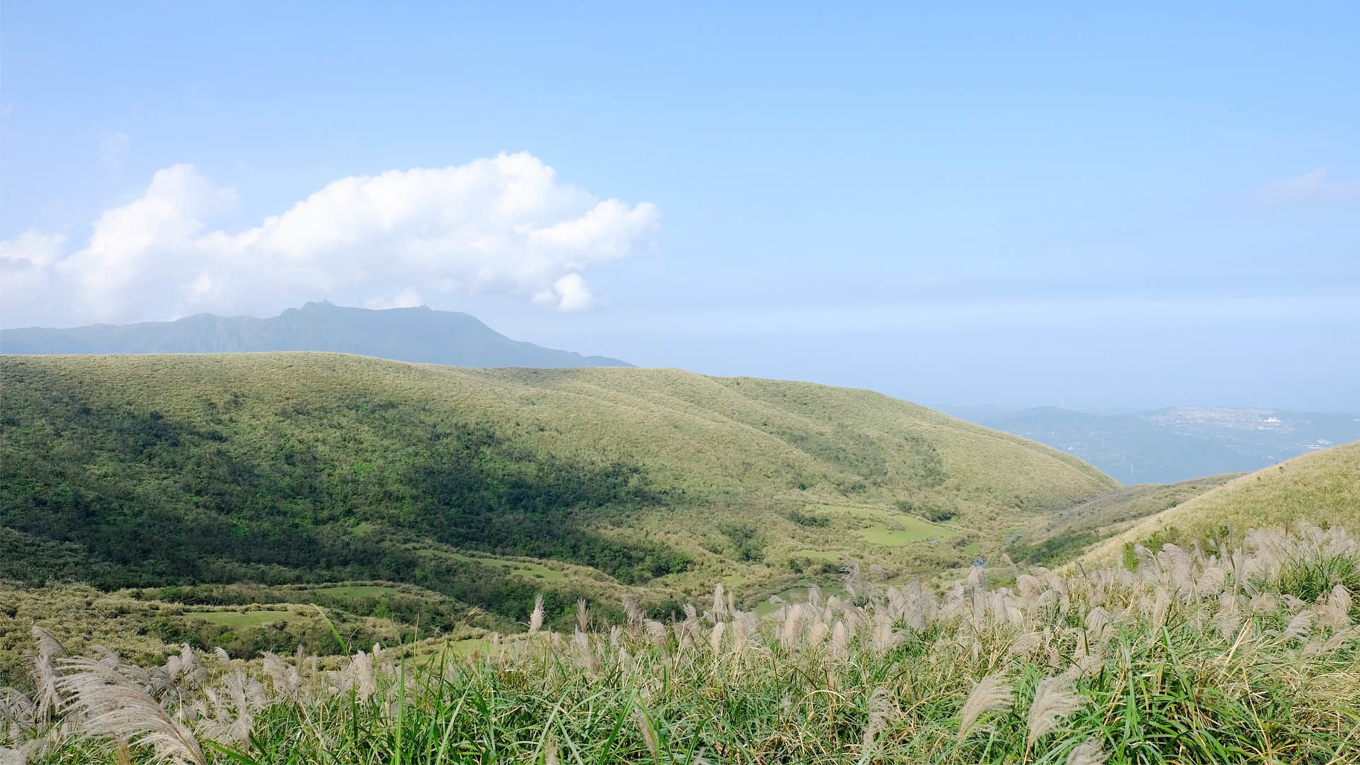 【絕美登山路線推薦】6 款台灣山林步道，帶你走入自然秘境！